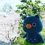 （分類：）位於 。 由 funfunmag 提交（商品編號 1335071236，圖片 1）。簡介： 。