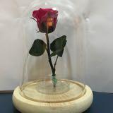 （分類：）位於 。 由 ireneloveshk 提交（商品編號 1229410623，圖片 1）。簡介： 。