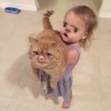 (Category: ) located in . Submitted by lumeedayz (Listing ID 1377650187, Image 1). Description: .