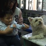 (分類:)位於 。 由 mrchris.888 提交(商品編號 1431469682,圖片 1)。簡介: 。