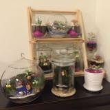 (Category: ) located in . Submitted by apliquelo (Listing ID 1380013901, Image 1). Description: .