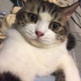 (Category: ) located in . Submitted by ezra.m (Listing ID 1377668186, Image 1). Description: .