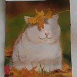 (Category: ) located in . Submitted by dayng (Listing ID 1372274753, Image 1). Description: .