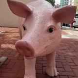 （分類：）位於 。 由 dear_daniel 提交（商品編號 1364782910，圖片 1）。簡介： 。