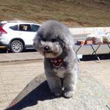 (Category: ) located in . Submitted by mingteikg (Listing ID 1381390915, Image 1). Description: .