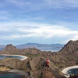 (Kategori: ) berada di . Dikirim oleh rizqi_anugrah (ID iklan 1380056900, Gambar 1). Deskripsi: .