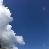 （分類：）位於 。 由 jasjasjask 提交（商品編號 1382496834，圖片 1）。簡介： 。