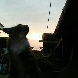 (Kategori: ) berada di . Dikirim oleh decita_preloved (ID iklan 1373545555, Gambar 1). Deskripsi: .