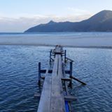 (Category: ) located in . Submitted by waassssssuuuuuuuuppppppp (Listing ID 1380028624, Image 1). Description: .