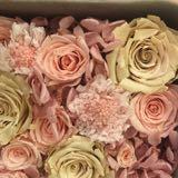 （分類：）位於 。 由 flloveh 提交（商品編號 1258797749，圖片 1）。簡介： 。