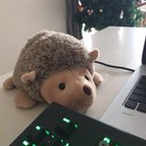(Category: ) located in . Submitted by minionsiswickef (Listing ID 1383042613, Image 1). Description: .