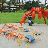 (Category: ) located in . Submitted by mrs_sinbad (Listing ID 1386081697, Image 1). Description: .