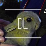 （分類：）位於 。 由 mingdavid 提交（商品編號 1384732591，圖片 1）。簡介： 。