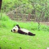 (分類:)位於 。 由 zhuxx 提交(商品編號 1467147373,圖片 1)。簡介: 。