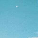 (Category: ) located in . Submitted by army98 (Listing ID 1454237707, Image 1). Description: .
