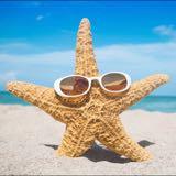 （分類：）位於 。 由 starfish_shop 提交（商品編號 1356457644，圖片 1）。簡介： 。