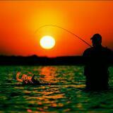 (Category: ) located in . Submitted by sharkflq (Listing ID 1122406222, Image 1). Description: .