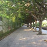 （分類：）位於 。 由 Alexhom 提交（商品編號 1061854006，圖片 1）。簡介： 。