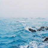 (Category: ) located in . Submitted by onefiftysix (Listing ID 1375901686, Image 1). Description: .
