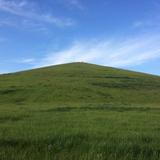 (Category: ) located in . Submitted by prisb (Listing ID 1384563733, Image 1). Description: .