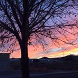 (Category: ) located in . Submitted by mayflower1 (Listing ID 1348318974, Image 1). Description: .