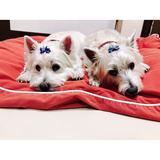 (Category: ) located in . Submitted by missmtht (Listing ID 1380118177, Image 1). Description: .