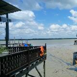 (Category: ) located in . Submitted by pinky1122 (Listing ID 1378283829, Image 1). Description: .