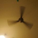 (Category: ) located in . Submitted by wh0000 (Listing ID 1459809448, Image 1). Description: .