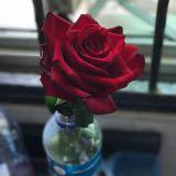 (Category: ) located in . Submitted by philomath26 (Listing ID 215525373, Image 1). Description: .