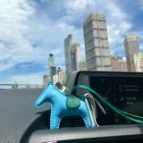 （分類：）位於 。 由 boboip2017 提交（商品編號 1379470922，圖片 1）。簡介： 。