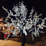 (Category: ) located in . Submitted by lux.deal (Listing ID 1348055831, Image 1). Description: .