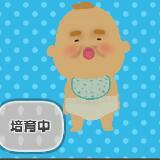 （分類：）位於 。 由 fishballfish 提交（商品編號 1373365548，圖片 1）。簡介： 。