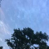 (Category: ) located in . Submitted by ironman1935 (Listing ID 1379244479, Image 1). Description: .