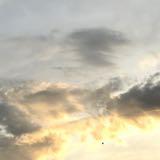 （分類：）位於 。 由 tonyp.al 提交（商品編號 1380173976，圖片 1）。簡介： 。
