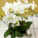 (Category: ) located in . Submitted by cik_pa (Listing ID 1379576841, Image 1). Description: .