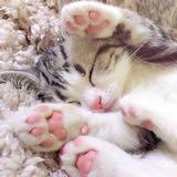（分類：）位於 。 由 am001 提交（商品編號 1384791146，圖片 1）。簡介： 。