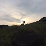 (分類:)位於 。 由 alibababa21 提交(商品編號 1296867262,圖片 1)。簡介: 。
