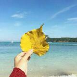 (Category: ) located in . Submitted by aaima (Listing ID 1372738938, Image 1). Description: .