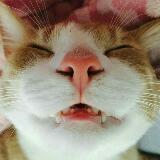 (Category: ) located in . Submitted by stuff0830 (Listing ID 1380839535, Image 1). Description: .