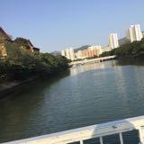 (Category: ) located in . Submitted by homalee (Listing ID 1239229661, Image 1). Description: .