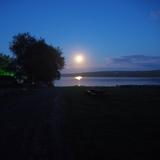 (Category: ) located in . Submitted by singcc (Listing ID 1384577365, Image 1). Description: .