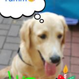 (分類:)位於 。 由 homan_doge 提交(商品編號 1357151105,圖片 1)。簡介: 。