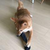 (Category: ) located in . Submitted by iinsight (Listing ID 1378771491, Image 1). Description: .