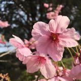 （分類：）位於 。 由 noelchanyy 提交（商品編號 1370754022，圖片 1）。簡介： 。