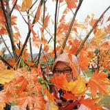 (Kategori: ) berada di . Dikirim oleh dheea_ (ID iklan 1314164321, Gambar 1). Deskripsi: .