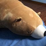 (Category: ) located in . Submitted by noicee (Listing ID 1267736306, Image 1). Description: .