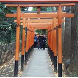 (Category: ) located in . Submitted by icaruscape (Listing ID 1108859432, Image 1). Description: .