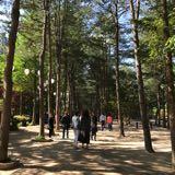 (Category: ) located in . Submitted by wonushi (Listing ID 1159265412, Image 1). Description: .