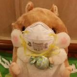 (Category: ) located in . Submitted by pw2306 (Listing ID 1381543232, Image 1). Description: .