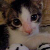 (Category: ) located in . Submitted by trs99 (Listing ID 1365053606, Image 1). Description: .